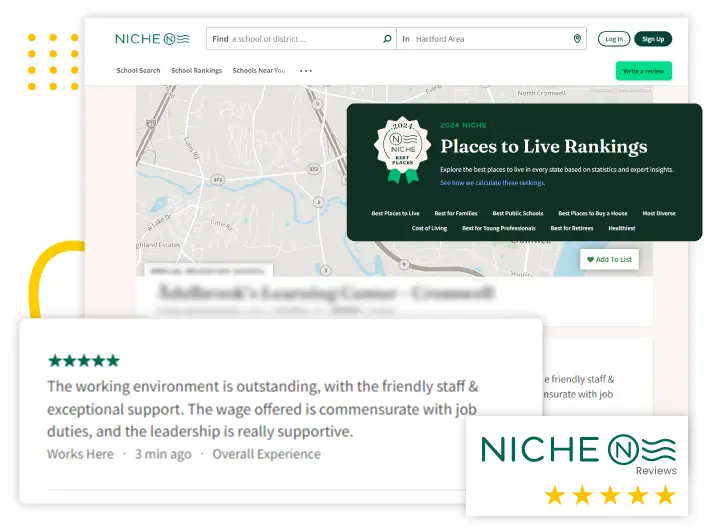 Niche-2.webp