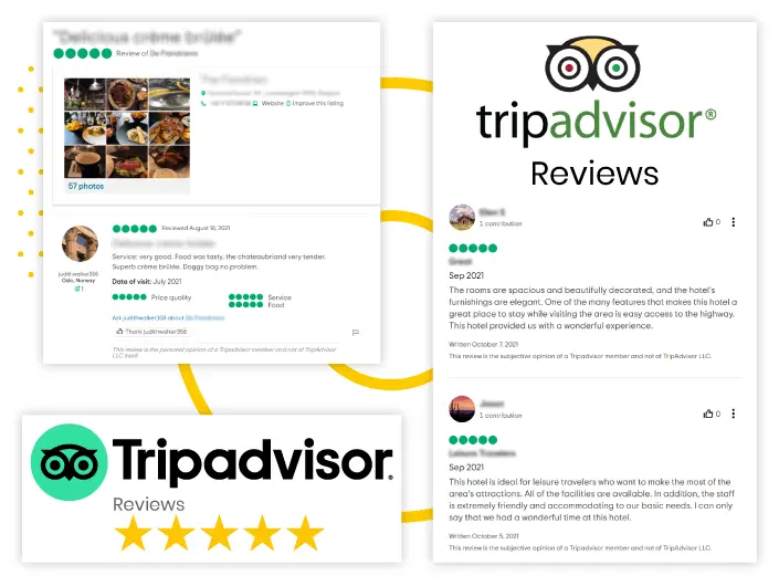 TripAdvisor-Reviews_compressed.webp