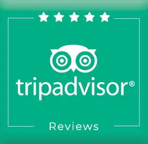 TripAdvisor-Reviews-1_compressed.webp