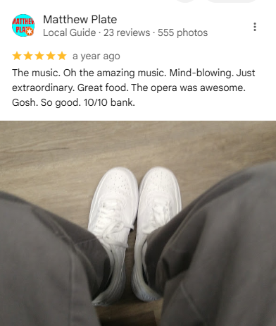 Music-Concert-Real-World-Review-Example-1