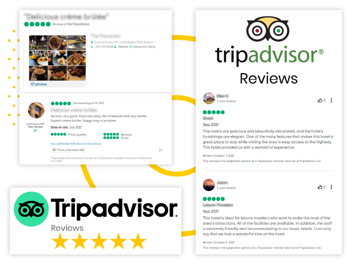 TripAdvisor-Reviews